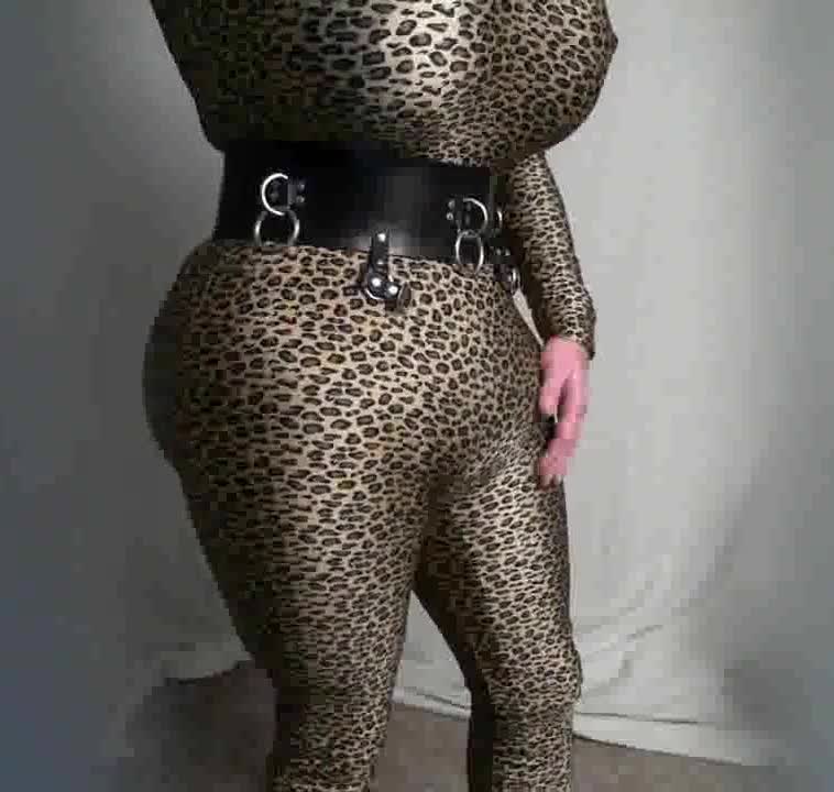 Leopard